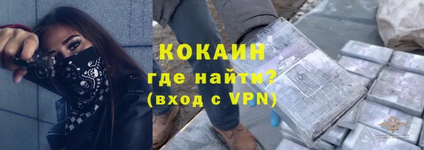 СК Алексин