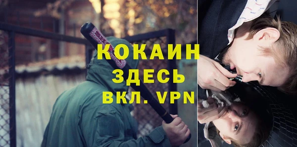 СК Алексин