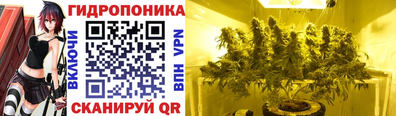 Бошки марихуана планчик  МЕГА маркетплейс  Луза 